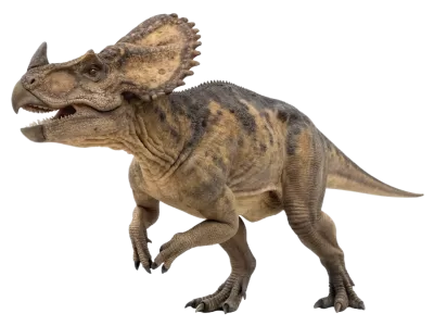 Imagen PNG para descargar